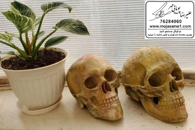 علیرضا پویایی مهر