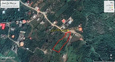 بنیاد توسعه کارآفرینی و تعاون استان البرز/ سعید حشمتی