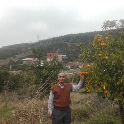 بنیاد توسعه کارآفرینی و تعاون استان البرز/ سعید حشمتی