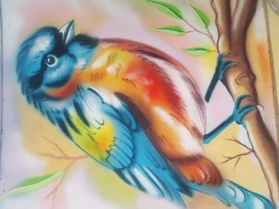 محوط حیاط مدرسه