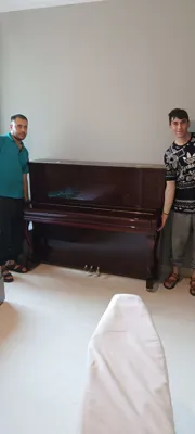 باربری در دلاوران