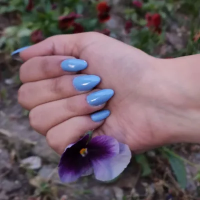 پانیذ باغی افوشته

