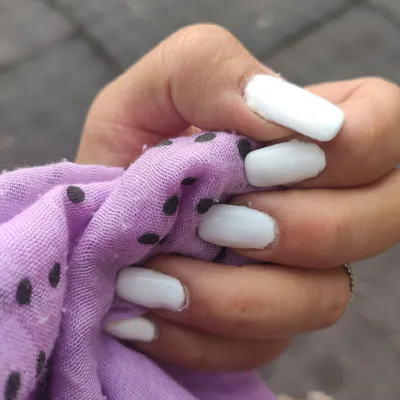 پانیذ باغی افوشته

