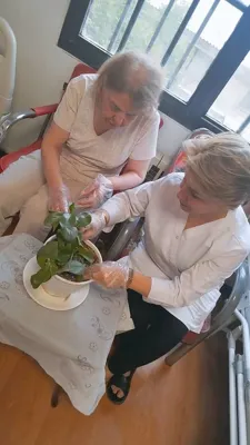 اسايشگاه سالمندان در شمال تهران