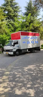 باربری میگون