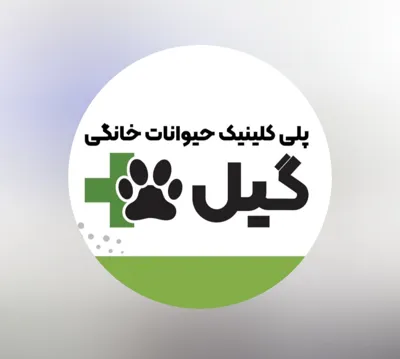 بهترین دامپزشکی لاهیجان