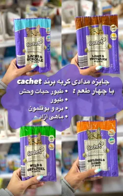 بهترین دامپزشکی لاهیجان