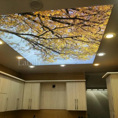 سقف کهکشانی در اصفهان