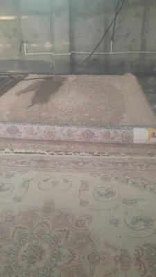 کارخانه قالیشویی در فردیس