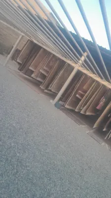 کارخانه قالیشویی در فردیس