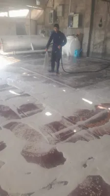 کارخانه قالیشویی در فردیس