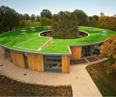 چمن مصنوعی با کیفیت