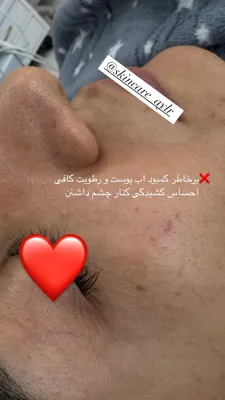 آیلار شاهوردی 