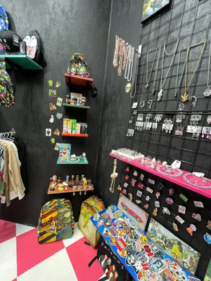 تنوع بالا اکسسوری