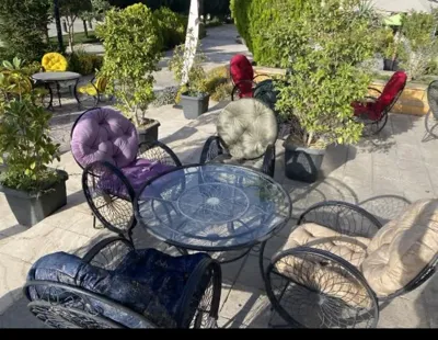 تولیدی برکت (پانیذ)