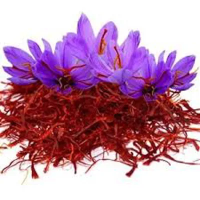            خرید زعفران کادویی در تهران
