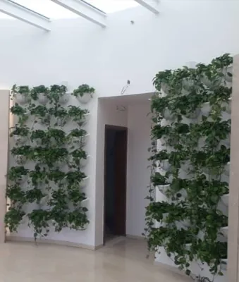 خدمات نگهدارى فضاى سبز ادارات در تهران