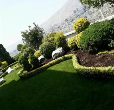 محوطه سازى ادارات در تهران