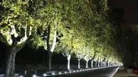انواع&nbsp;پروژکتور