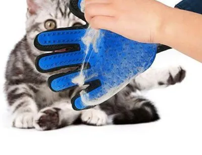 ارزانسرای مدرن