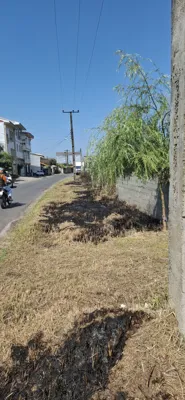 خیابان محمدی بعد از علفتراشی خرداد ۴۰۴