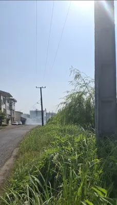 خیابان محمدی قبل از علفتراشی