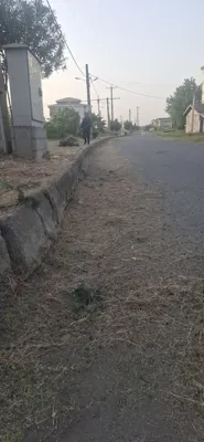 علفتراشی بلوار عابدینی خرداد۴۰۴