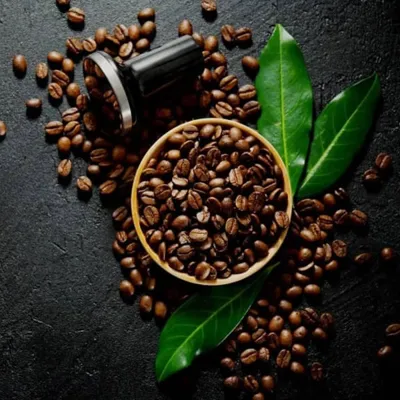  فروش عمده قهوه 