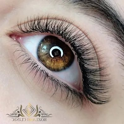 بهترین آموزش اکستنشن مژه در اصفهان