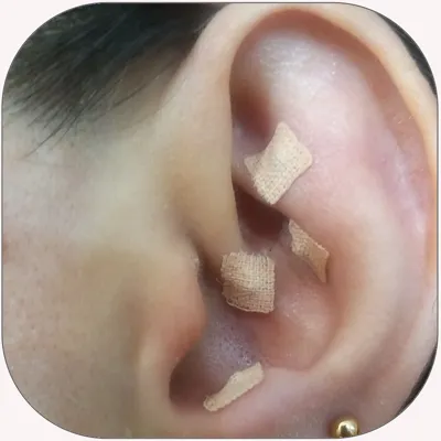 عالی ترین درمانگر آرامش روح