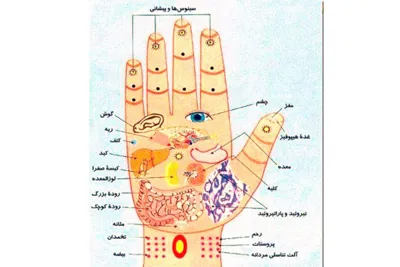 نقاط ماساژ دست