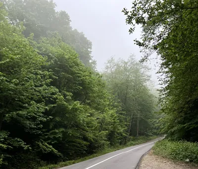 مسیر کوهستانی و جنگلی