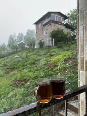 طبیعت بکر و بهاری