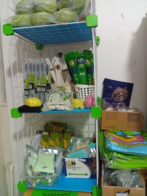 انسیه بابائی