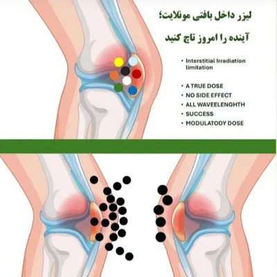 دکتر الهه ابراهیمی