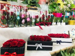 بهترین گل فروشی کرمان&nbsp;&nbsp;تالار گل کاملیا