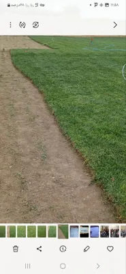 چمن طبیعی در اصفهان