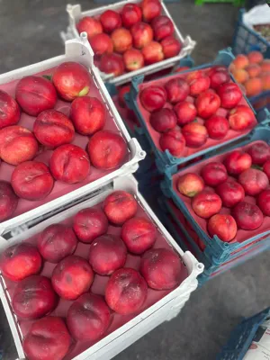 خرید میوه و صیفی جات از تره بار