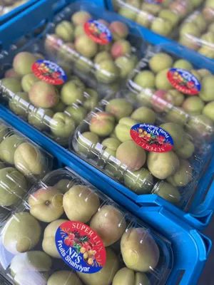 خرید میوه و صیفی جات از تره بار