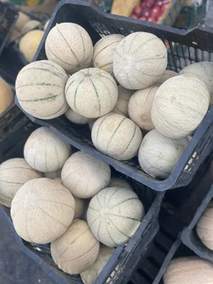 میوه برای کارخانه و تولیدی