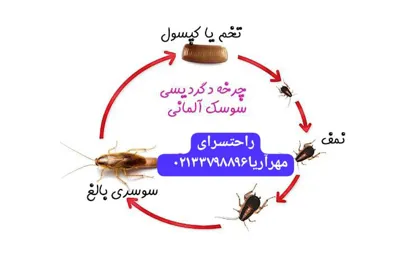 راحتسرای مهر آریا