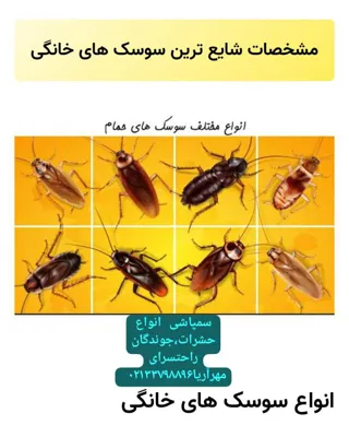 راحتسرای مهر آریا