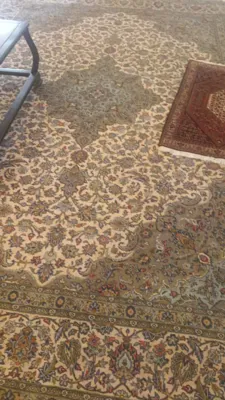 سمساری در شریعتی تهران