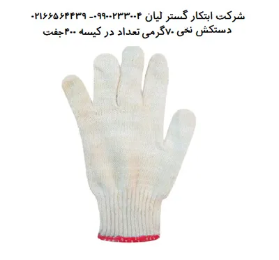 شرکت ابتکار گستر لیان 