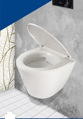  مرکز پخش چینی آلات بهداشتی در اردکان