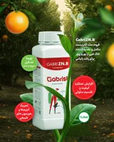 نماینده فروش کود های ارگانیک درساوه 