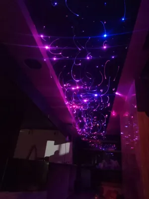 مجری سقف کشسان