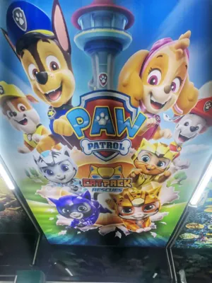 سقف قف کاذب کرمان