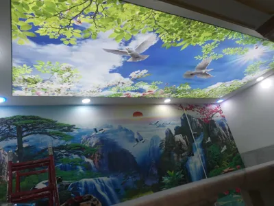 سقف کشسان در کرمان