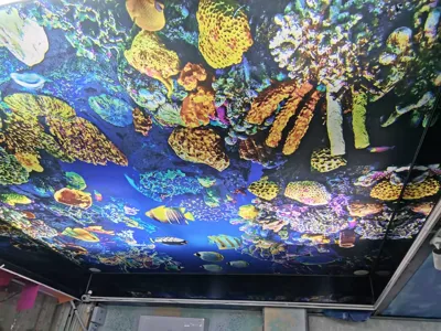 سقف کشسان در کرمان